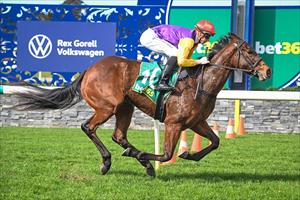 REGALLY BRED FILLY PUTS WRITING ON THE WALL